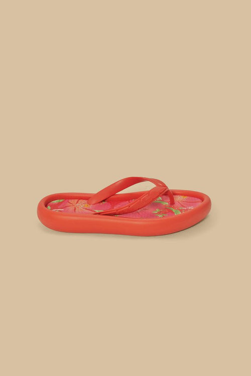 Chanclas De Canoa Estampadas